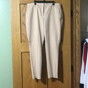 Express collumnist ankle dress pants